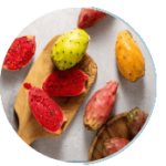 imgi_12_prickly_pear_extract