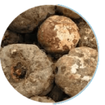 imgi_13_konjac_extract_fiber